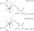 Imiprothrin